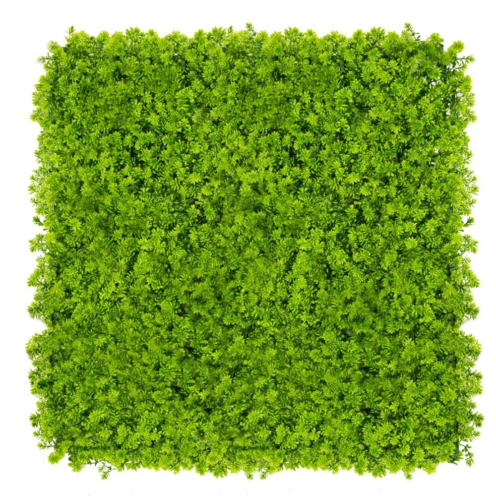 Mur végétal Chmiel 50x50 cm