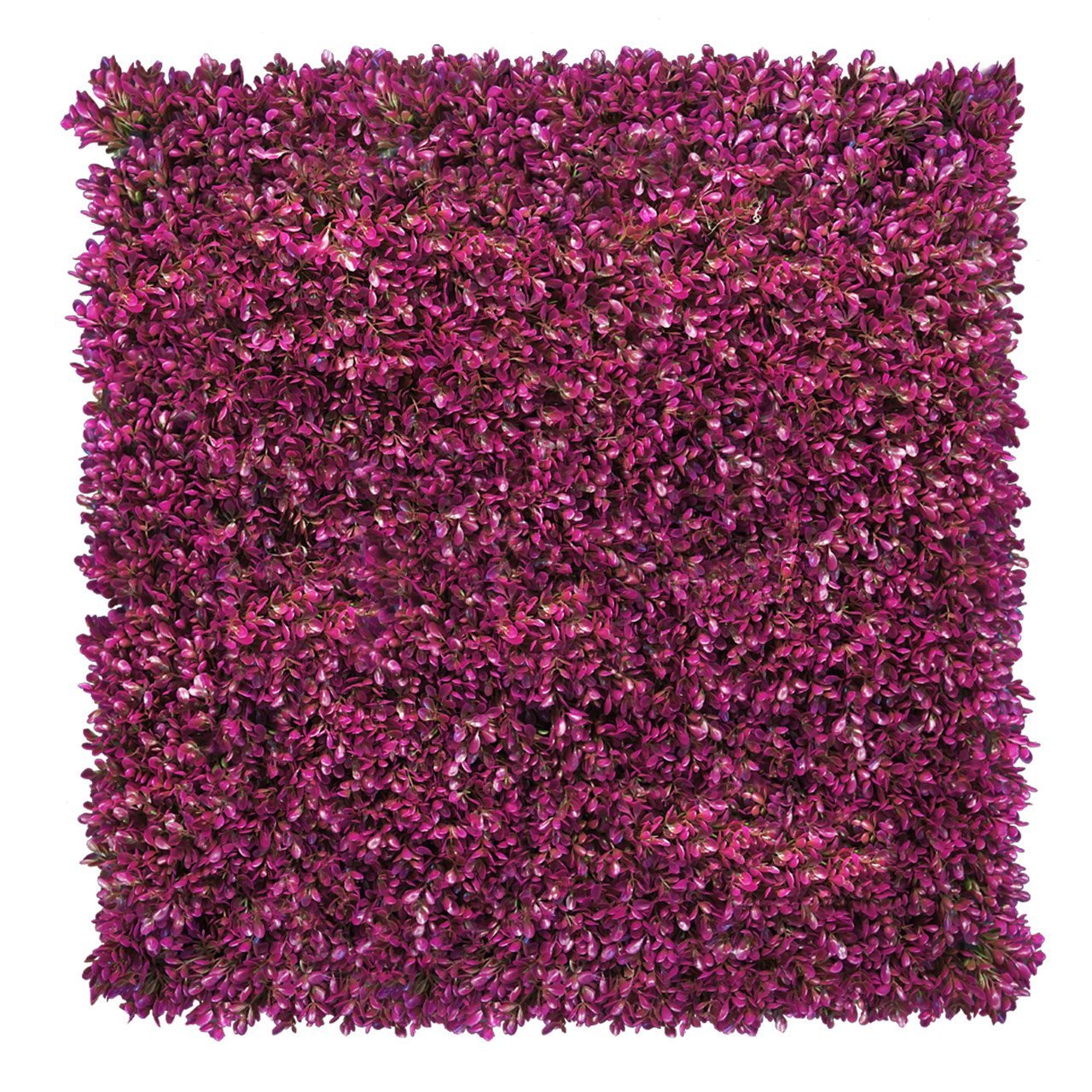 Mur végétal fuchsia rose 50x50 cm