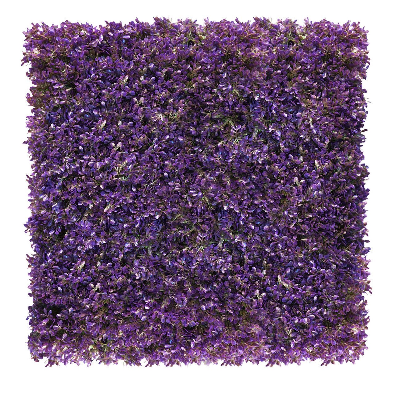 Mur végétal fuchsia violet 50x50 cm