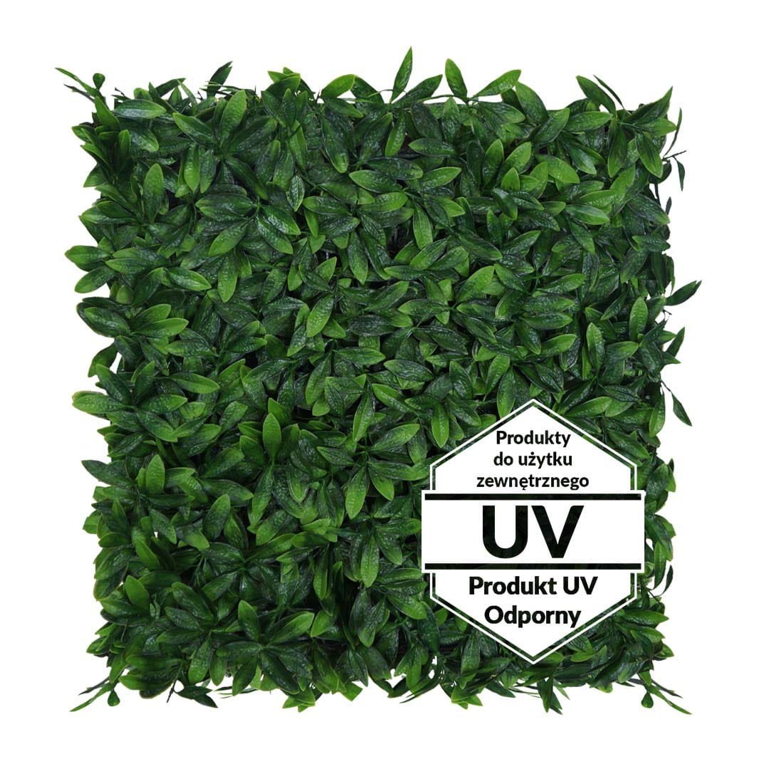 Matte artificielle verte Laurowiśnia UV 50x50 cm