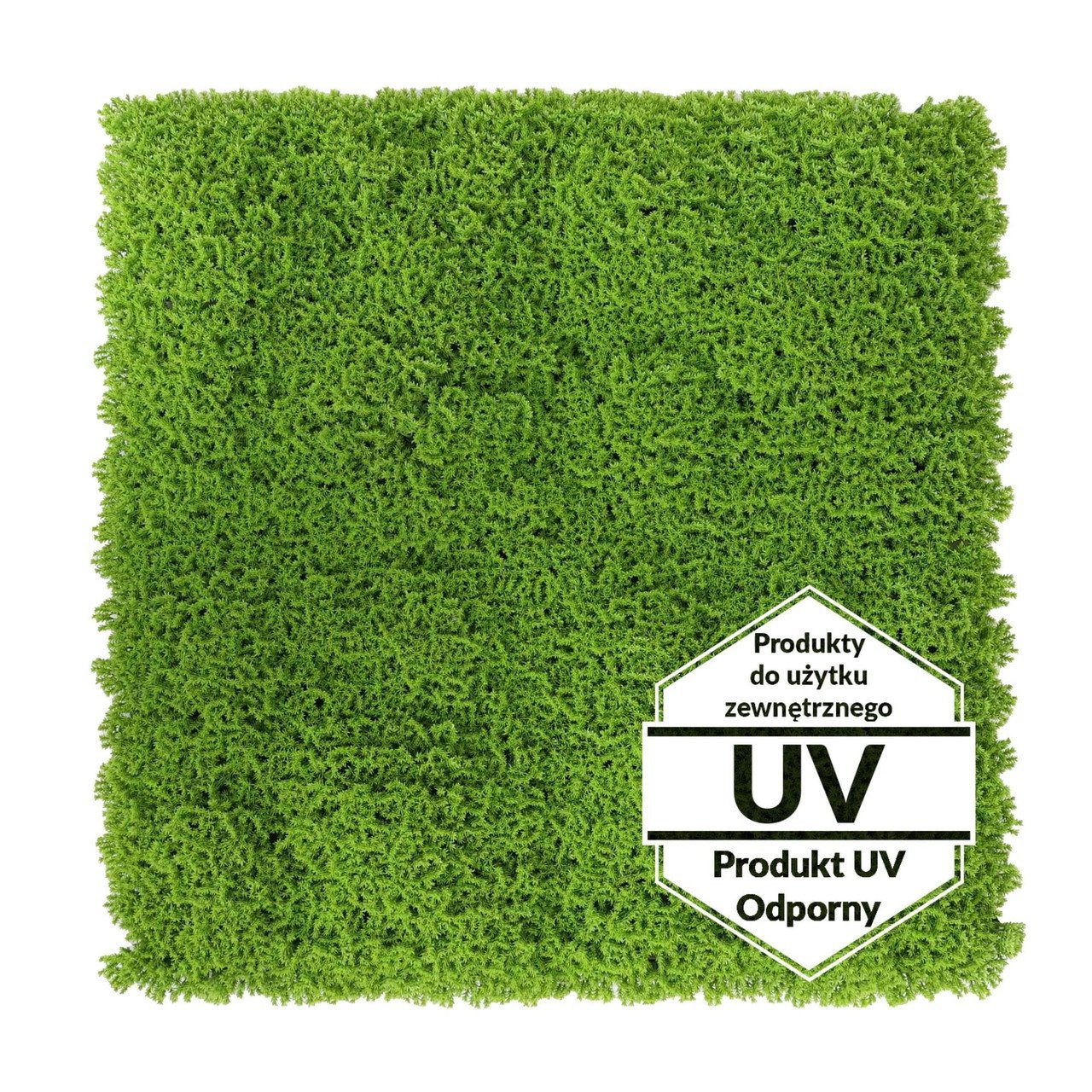 Tapis vert artificiel Runowiec UV 50x50 cm