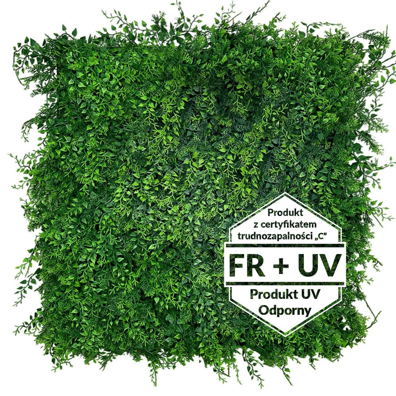 Tapis vert artificiel Znakocica FR UV - C 50x50 cm