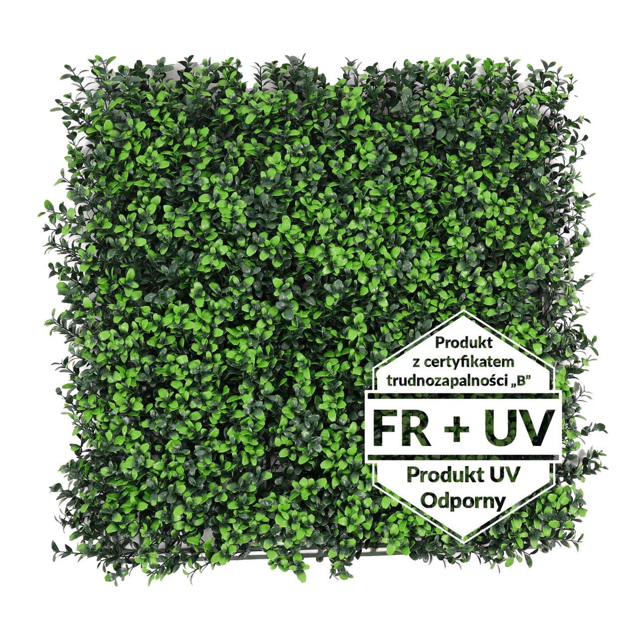 Tapis vert artificiel Borówka FR UV - B 50x50 cm