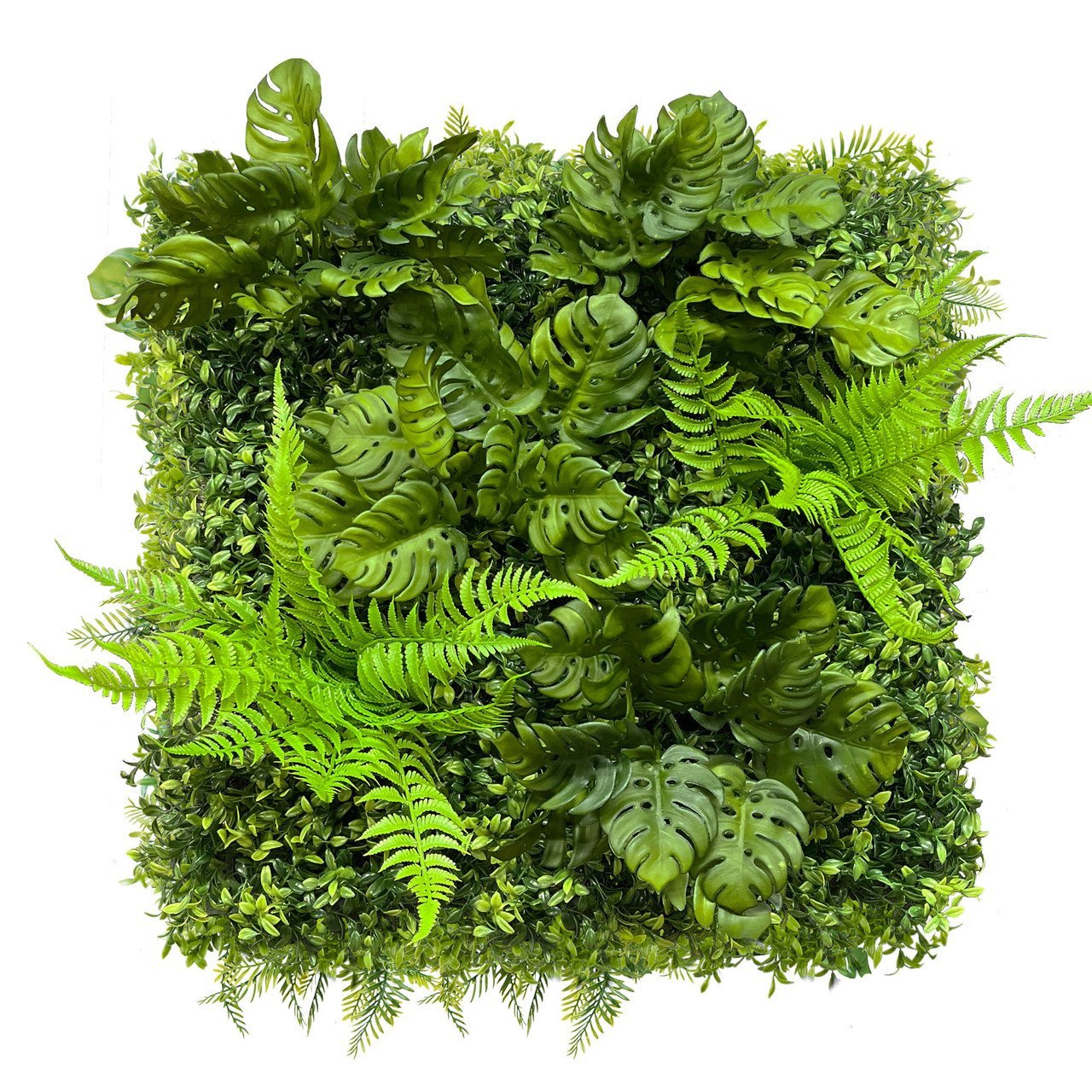 Mur végétal Monstera 50x50 cm
