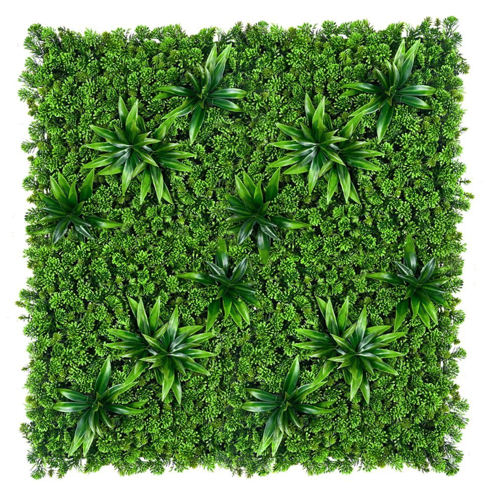 Mur végétal succulent 50x50 cm — vue ambiance