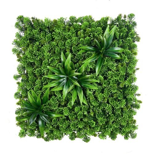 Mur végétal succulent 50x50 cm en position 1