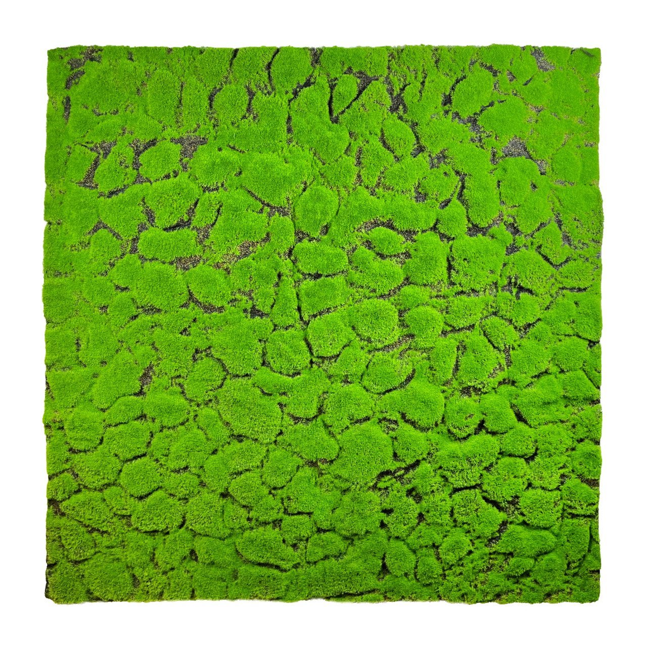 Mousse de lit 100x100 cm