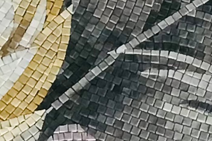 Carrelage mural verre brillant Toucan – 110×220 cm — vue ambiance