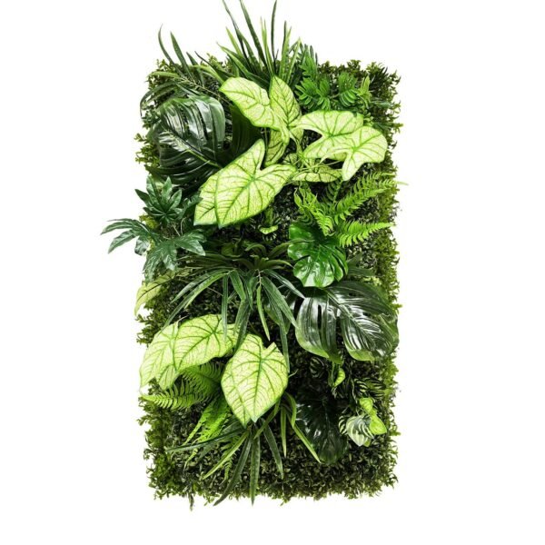 Jardin vertical Caladium Forêt en position 1