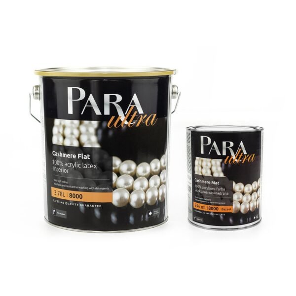 Peinture latex ultra-matte lavable FOGHORN 307D intérieur