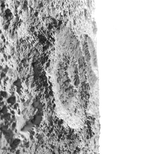 Panneau en polyuréthane Taurus de 60 x 120 cm