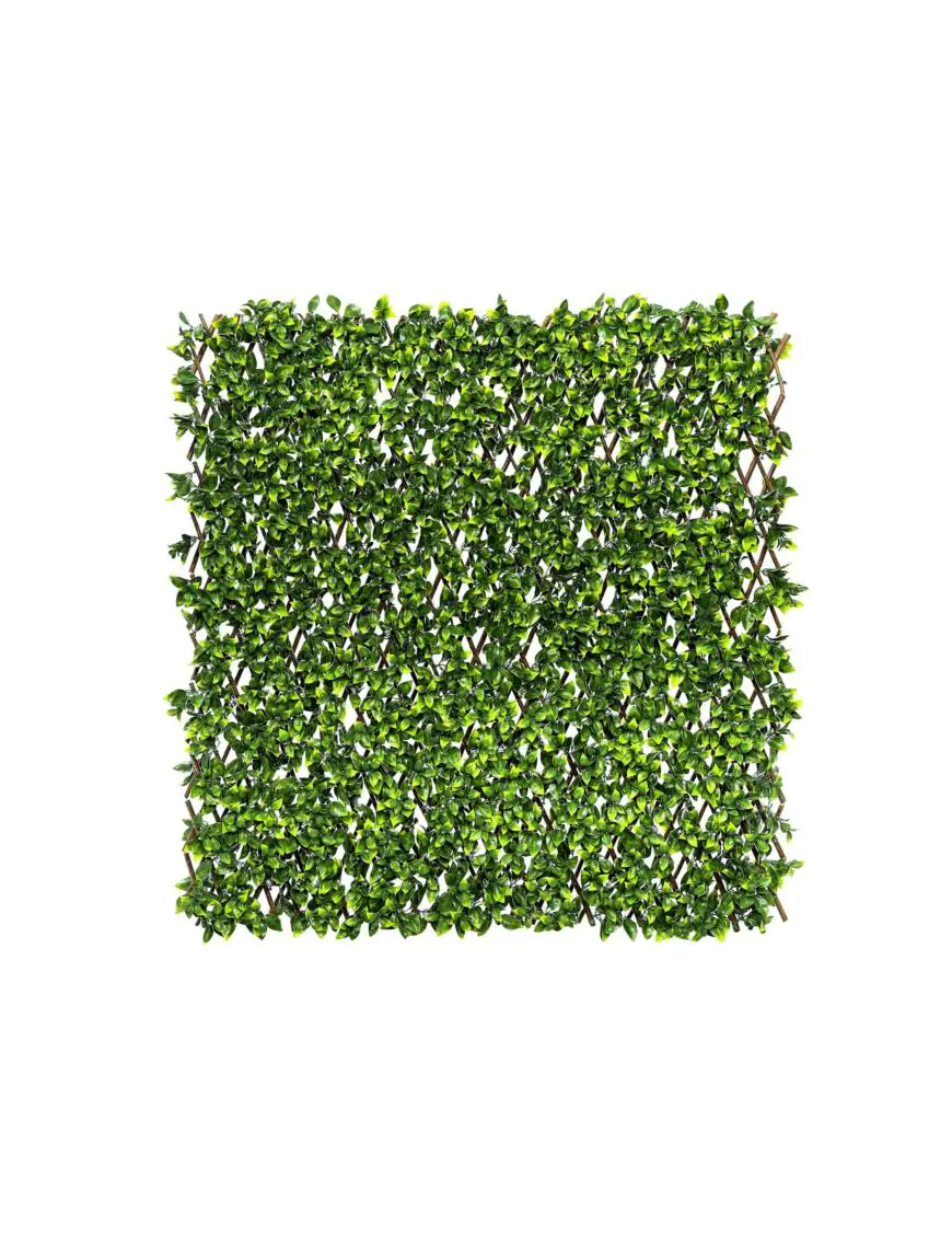 Mur végétal pliant en feuille de laurier, format 6,48 m²
