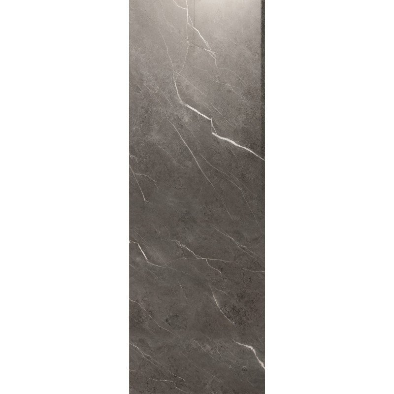Panneau étanche grand format B56 Darwin Masiv XL Brillant — vue ambiance