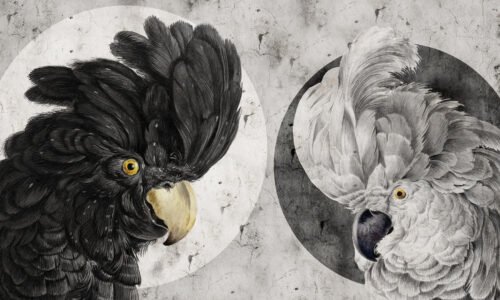 Papier peint Yin Yang avec motif symétrique noir et blanc