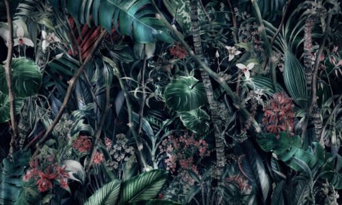 Papier peint Amazonia motif tropical 500x300 cm