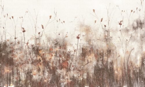 Papier peint Campo di Fiori 500 x 300 cm Maison Drapeé Studio