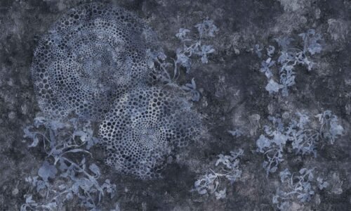 Papier peint Abyss Shell motif sous-marin texturé format 500 x 300 mm
