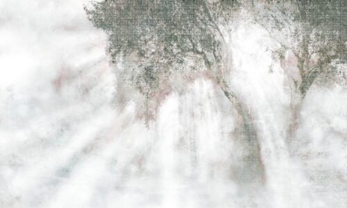 Papier peint Ray Of Light Maison Drapeé 500x300 cm