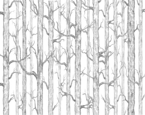 Papier peint Bosco avec arbres et oiseaux pour chambre enfant