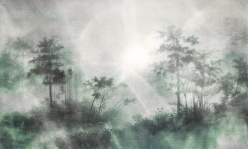 Papier peint Hazy de Maison Drapeé Studio, format 500 x 300 cm