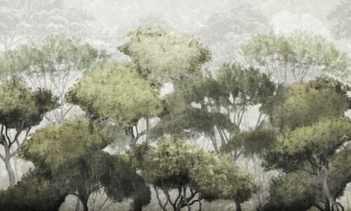 Papier peint Treetop Walk 500x300 cm design naturel mur intérieur