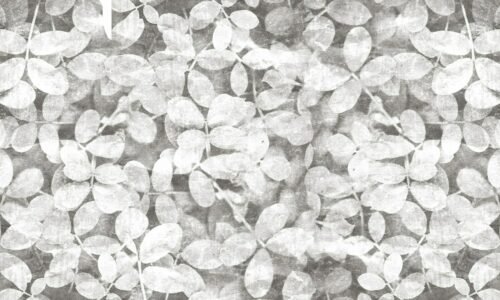 Papier peint Free Spirit motif élégant 500x300 cm