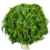 Plafonnier suspendu Green Sway 100 cm