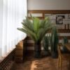 Plante artificielle Sansevieria Zelenica 90 cm