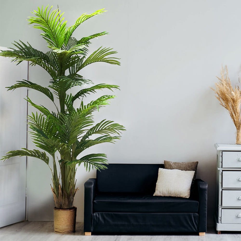 Plante décorative Ravenea 180 cm — vue ambiance