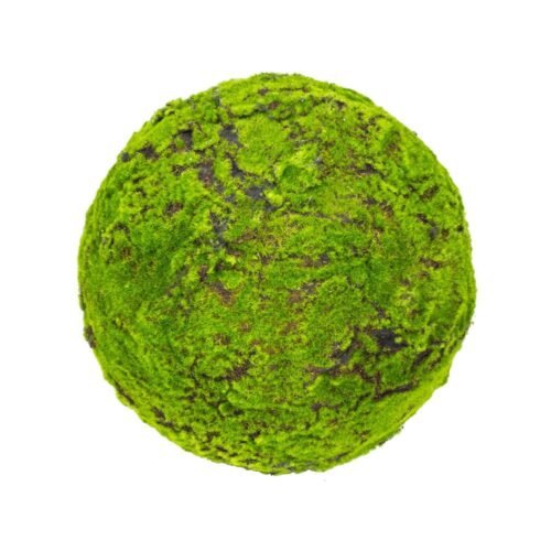 Grande boule de mousse Moss Ball 45 cm