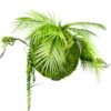 Boule décorative en végétal artificiel Moss Ball 35 cm