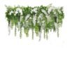 Couronne végétale Wisteria White S