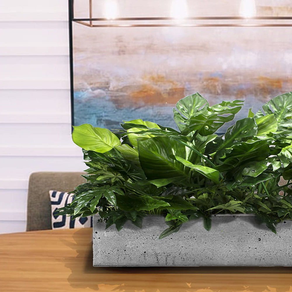Insert pour pot de fleurs Las Palmas — vue ambiance