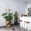 Insert pour pot de fleurs Sunrise