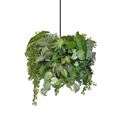Abaissoir pour lampe Green Ray