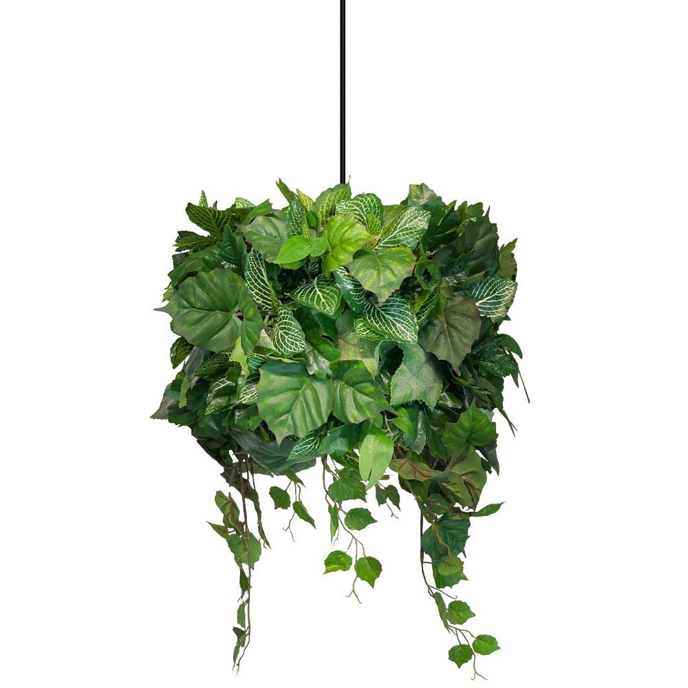 Abaissoir pour lampe Nature Glow