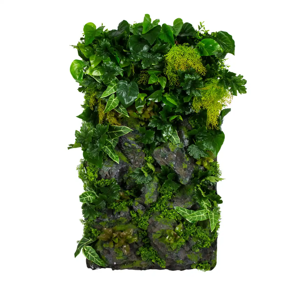 Jardin vertical Rocky Cliff