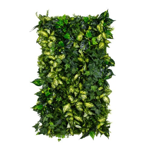 Jardin vertical de lierre cultivé · mur végétal artificiel · vue principale Jardin vertical de lierre cultivé · mur végétal artificiel · vue principale