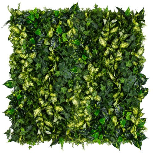 Jardin vertical de lierre cultivé · jardin vertical anti-UV · détail texture