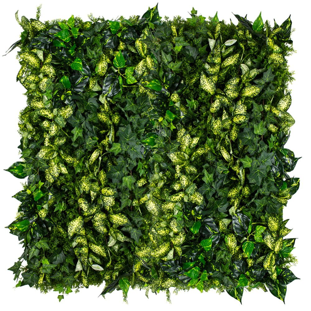 Jardin vertical de lierre cultivé — vue ambiance
