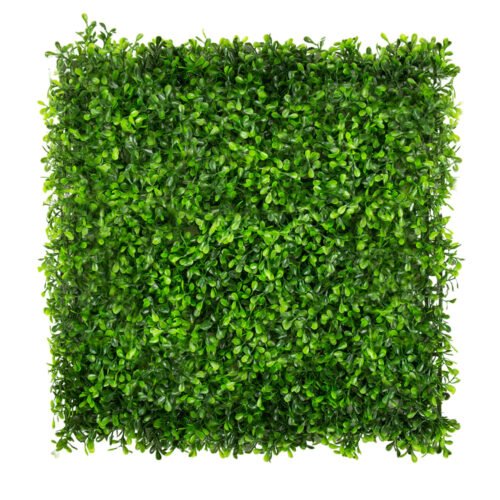 Mur végétal Millepertuis vert 50x50cm 50×50 cm · tapis végétal artificiel modulaire · vue principale Mur végétal Millepertuis vert 50x50cm 50×50 cm · tapis végétal artificiel modulaire · vue principale