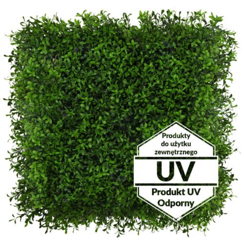 Tapis anti-UV en buis vert artificiel 50x50cm 50×50 cm · tapis végétal artificiel modulaire · vue principale Tapis anti-UV en buis vert artificiel 50x50cm 50×50 cm · tapis végétal artificiel modulaire · vue principale