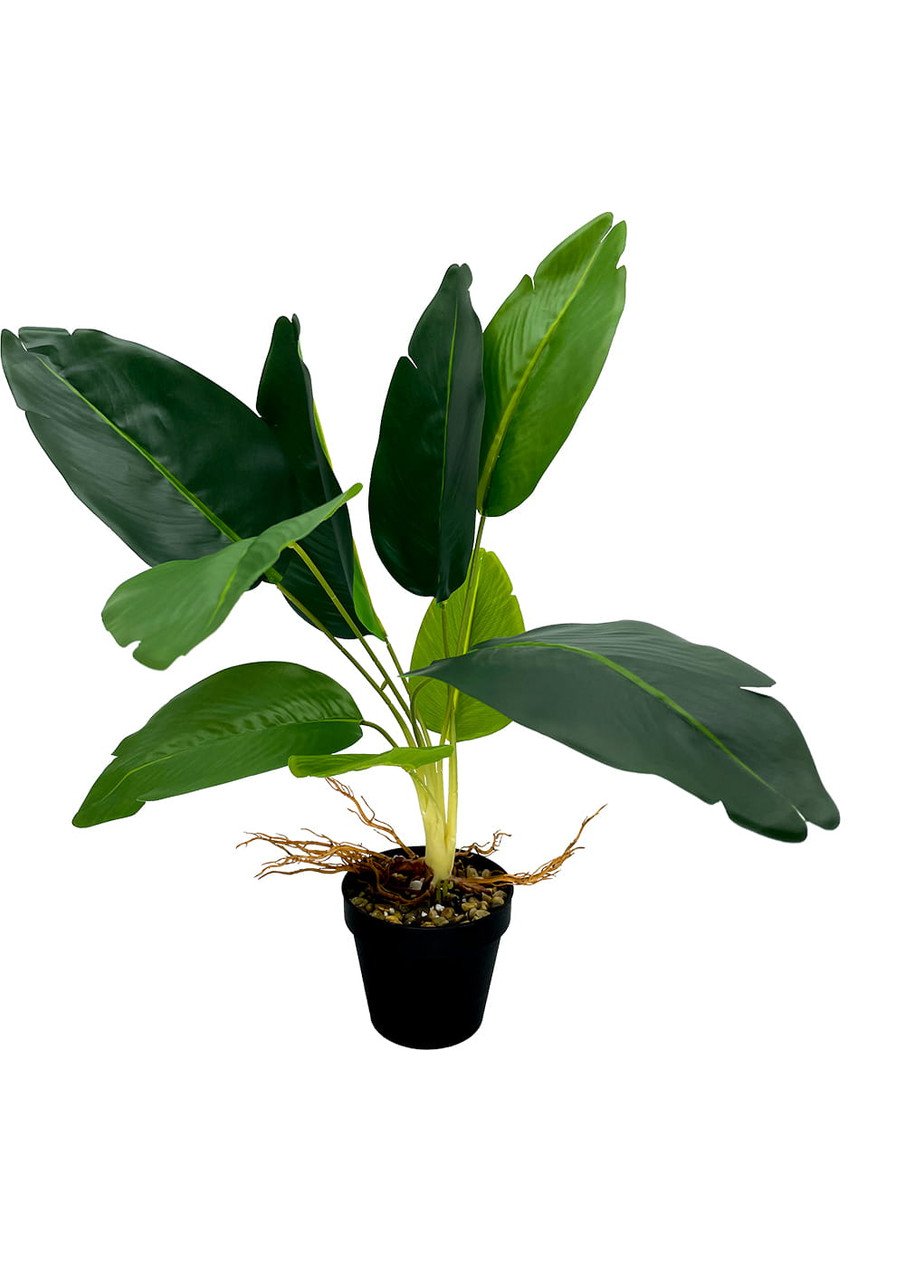 Plante artificielle de dieffenbachia de 55 cm
