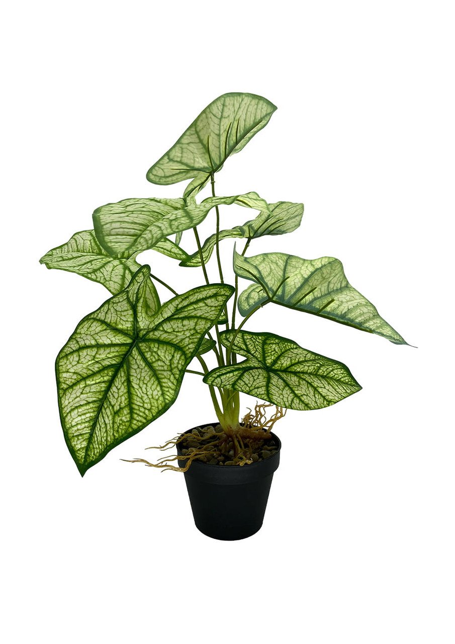Syngonium artificiel 54 cm