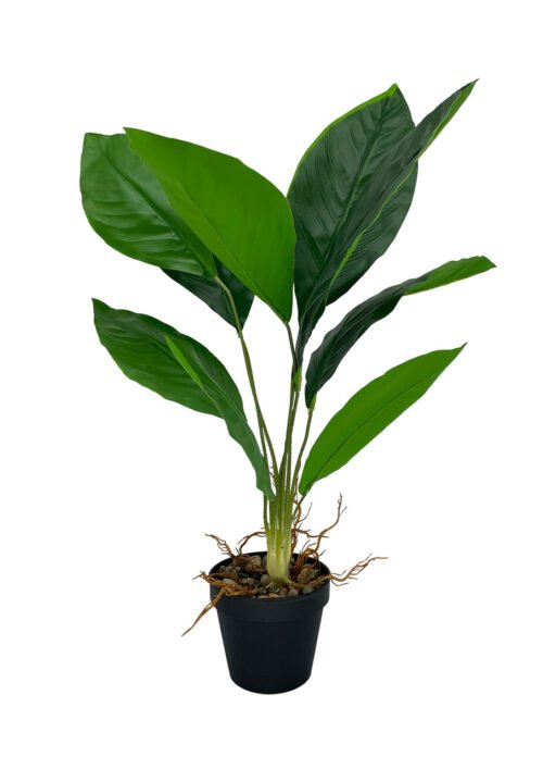 Aspidistra artificielle 62 cm · plante artificielle réaliste · vue principale Aspidistra artificielle 62 cm · plante artificielle réaliste · vue principale