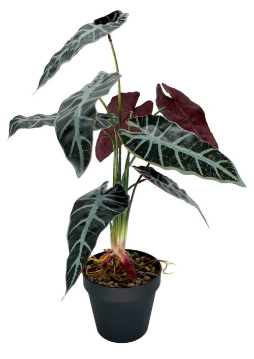 Plante artificielle Alocasia 47 cm · plante artificielle réaliste · vue principale Plante artificielle Alocasia 47 cm · plante artificielle réaliste · vue principale