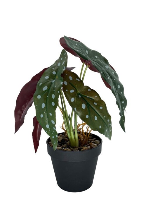 Bégonia artificiel corail 36 cm · plante artificielle réaliste · vue principale Bégonia artificiel corail 36 cm · plante artificielle réaliste · vue principale