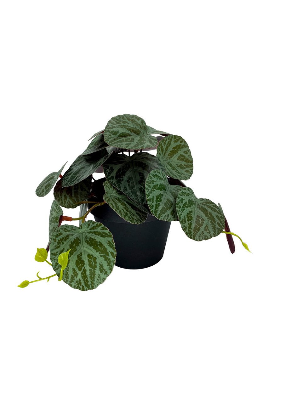 Plante Pilea artificielle 19 cm