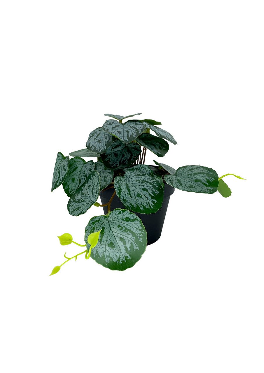 Plante Pilea artificielle 20 cm