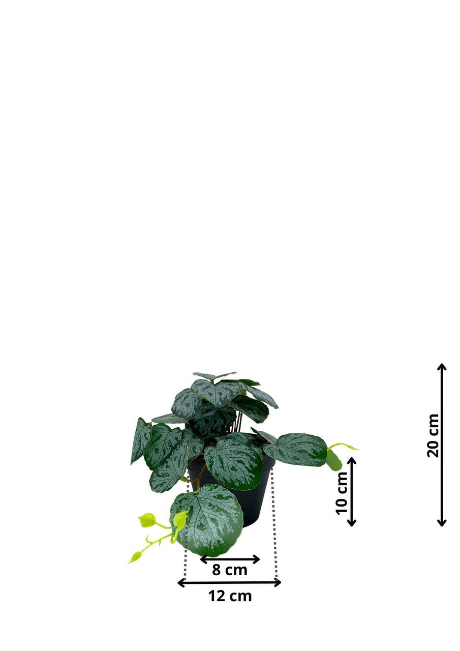 Plante Pilea artificielle 20 cm — vue ambiance